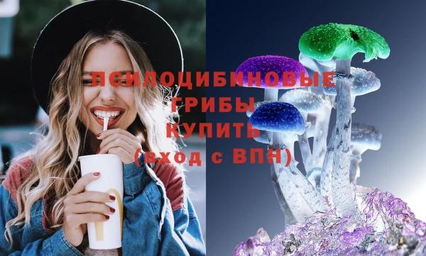 apvp Медногорск