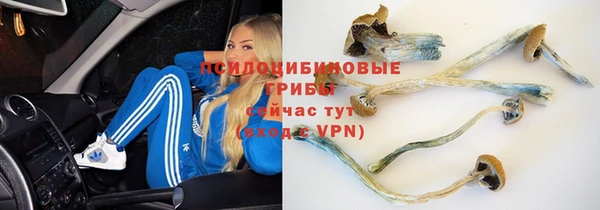 apvp Медногорск