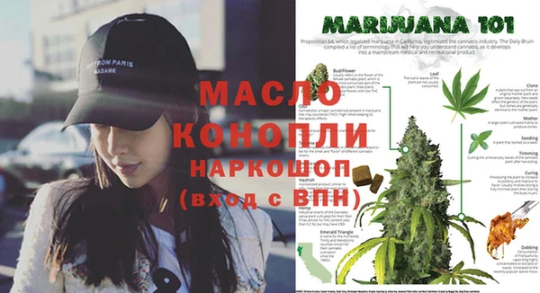 apvp Медногорск