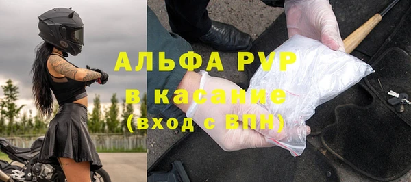 стаф Кодинск