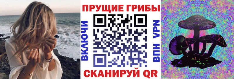 Галлюциногенные грибы мицелий Семилуки